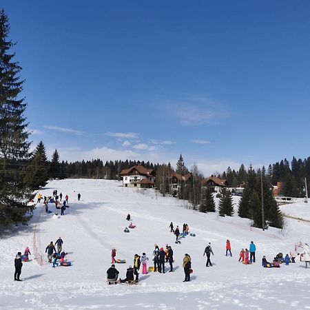 Apartmani Suncani Breg Tara Mitrovac Esterno foto