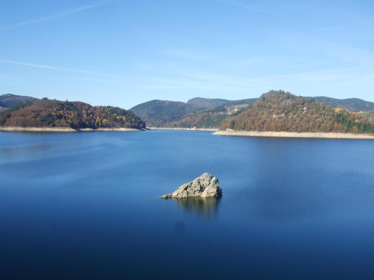 Apartmani Suncani Breg Tara Mitrovac Esterno foto