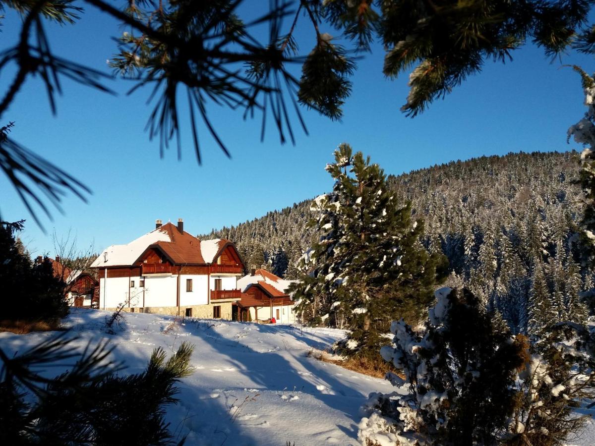 Apartmani Suncani Breg Tara Mitrovac Esterno foto
