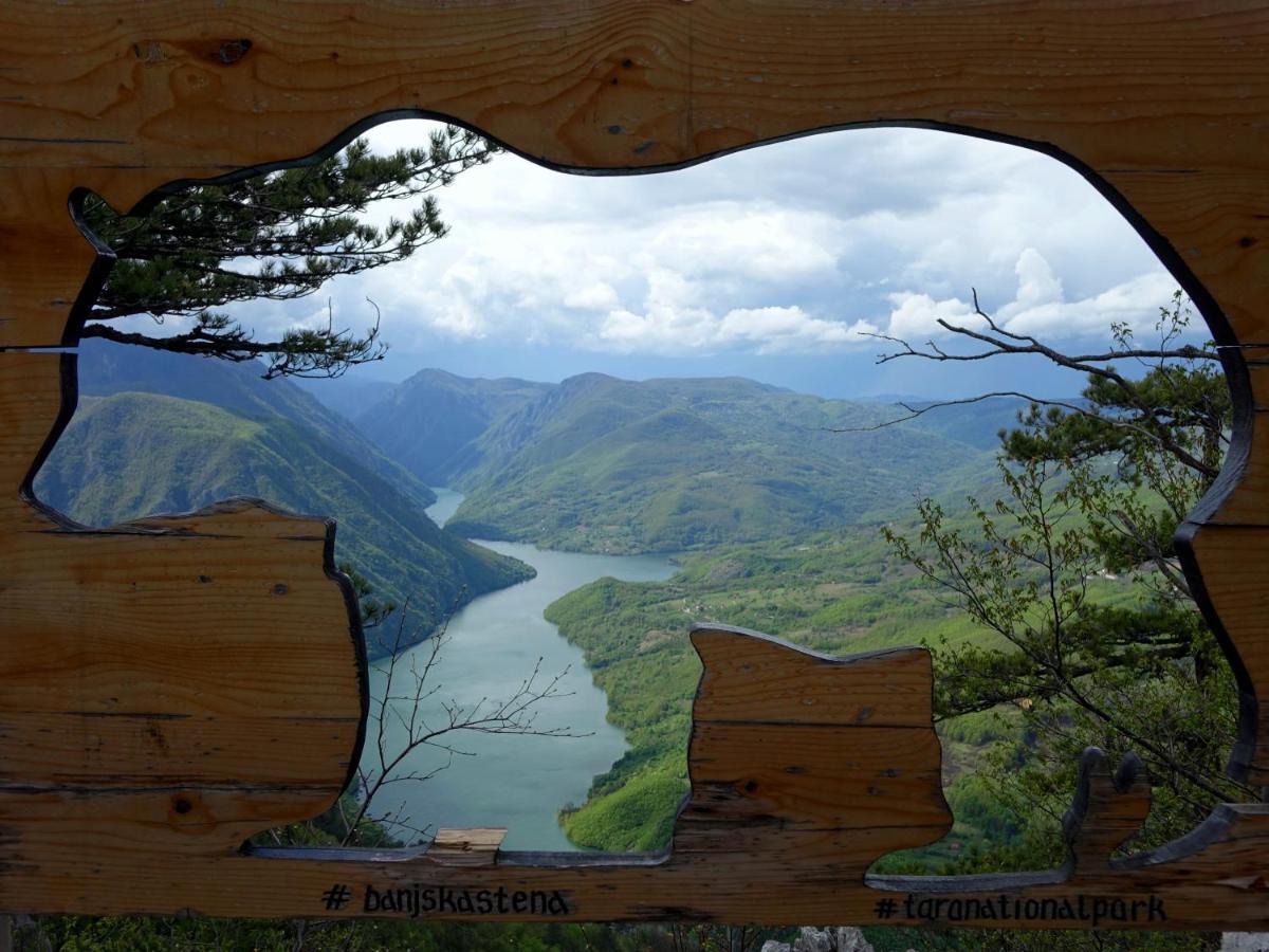 Apartmani Suncani Breg Tara Mitrovac Esterno foto