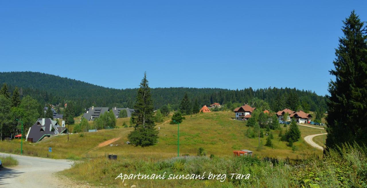 Apartmani Suncani Breg Tara Mitrovac Esterno foto