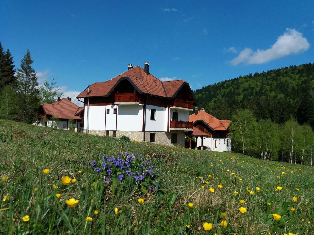Apartmani Suncani Breg Tara Mitrovac Esterno foto